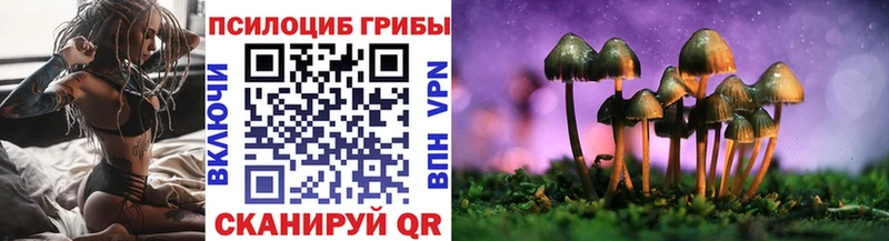 Псилоцибиновые грибы GOLDEN TEACHER  Купить  Агидель 